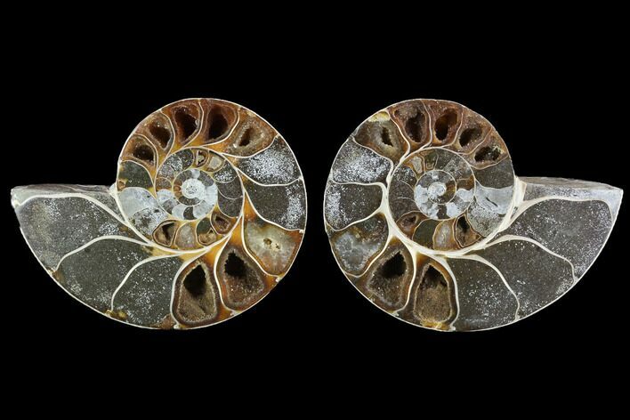 Cut & Polished Ammonite (Anapuzosia?) Pair - Madagascar #88020